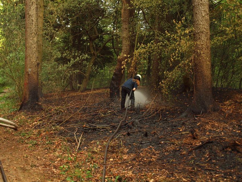 Waldbrand Bergisch Gladbach Bensberg P173.JPG